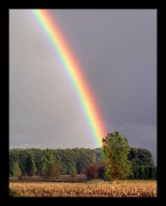 rainbow-by-jago19841
